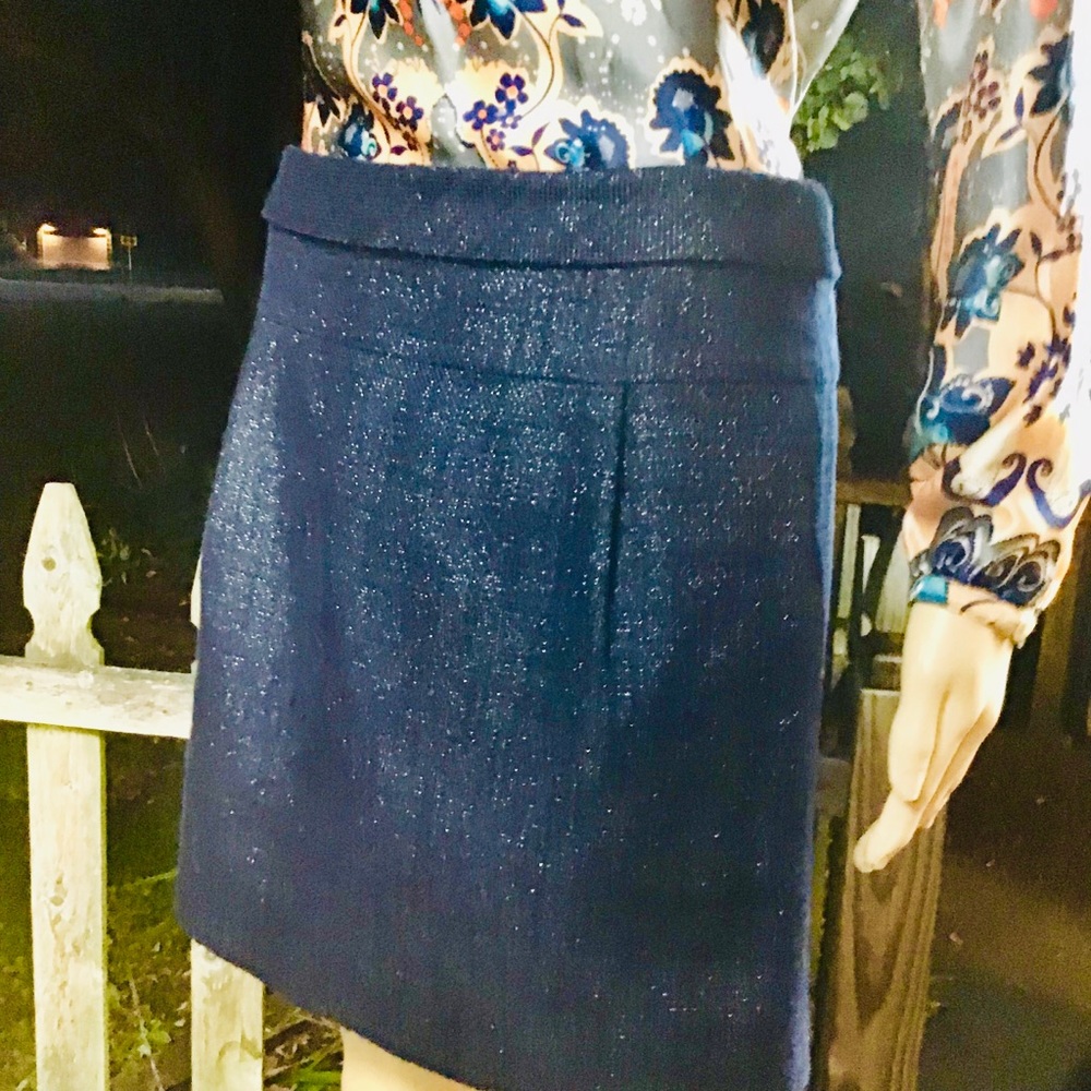 🌸 JCREW LINED SHIMMER THREAD NAVY BLUE SKIRT NO FLAWS - Picture 9 of 11